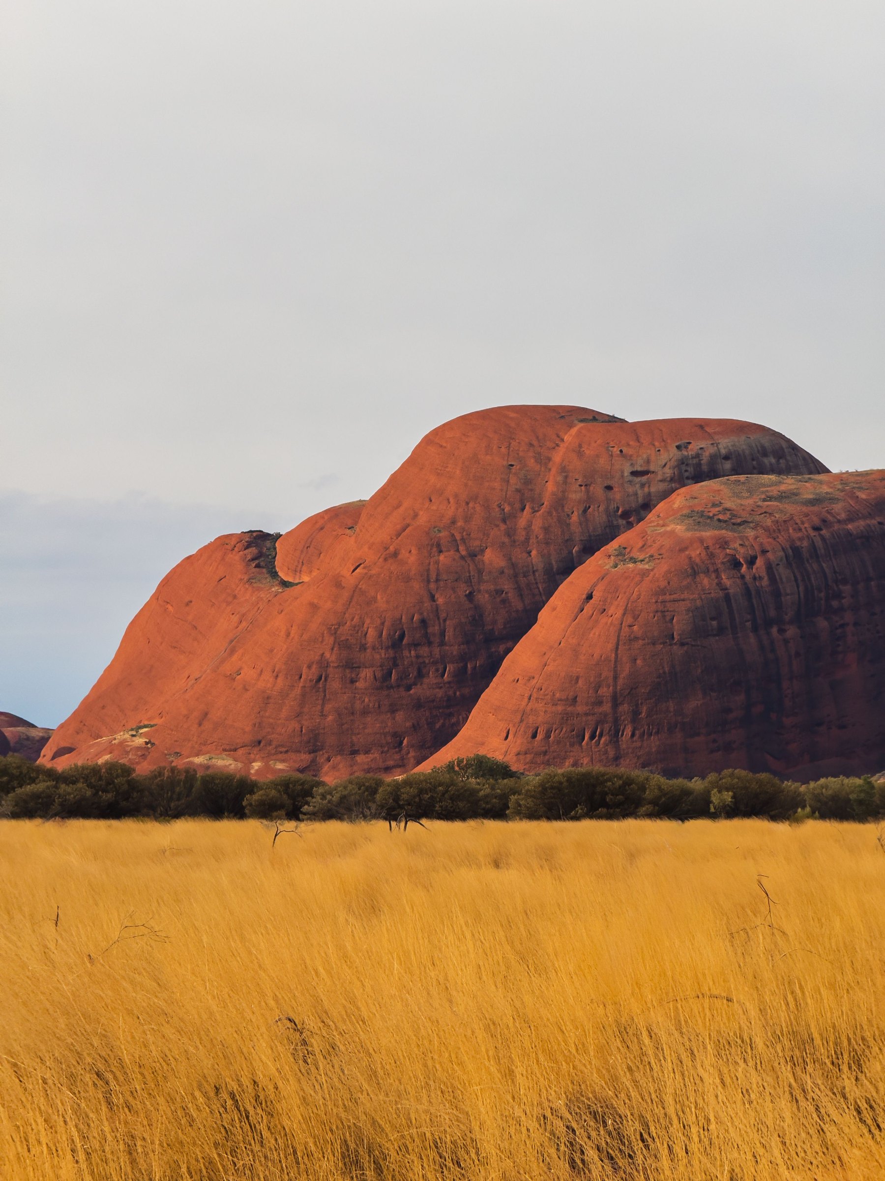 The red domes of Kata Tjuta above the desert in the Northern Territory