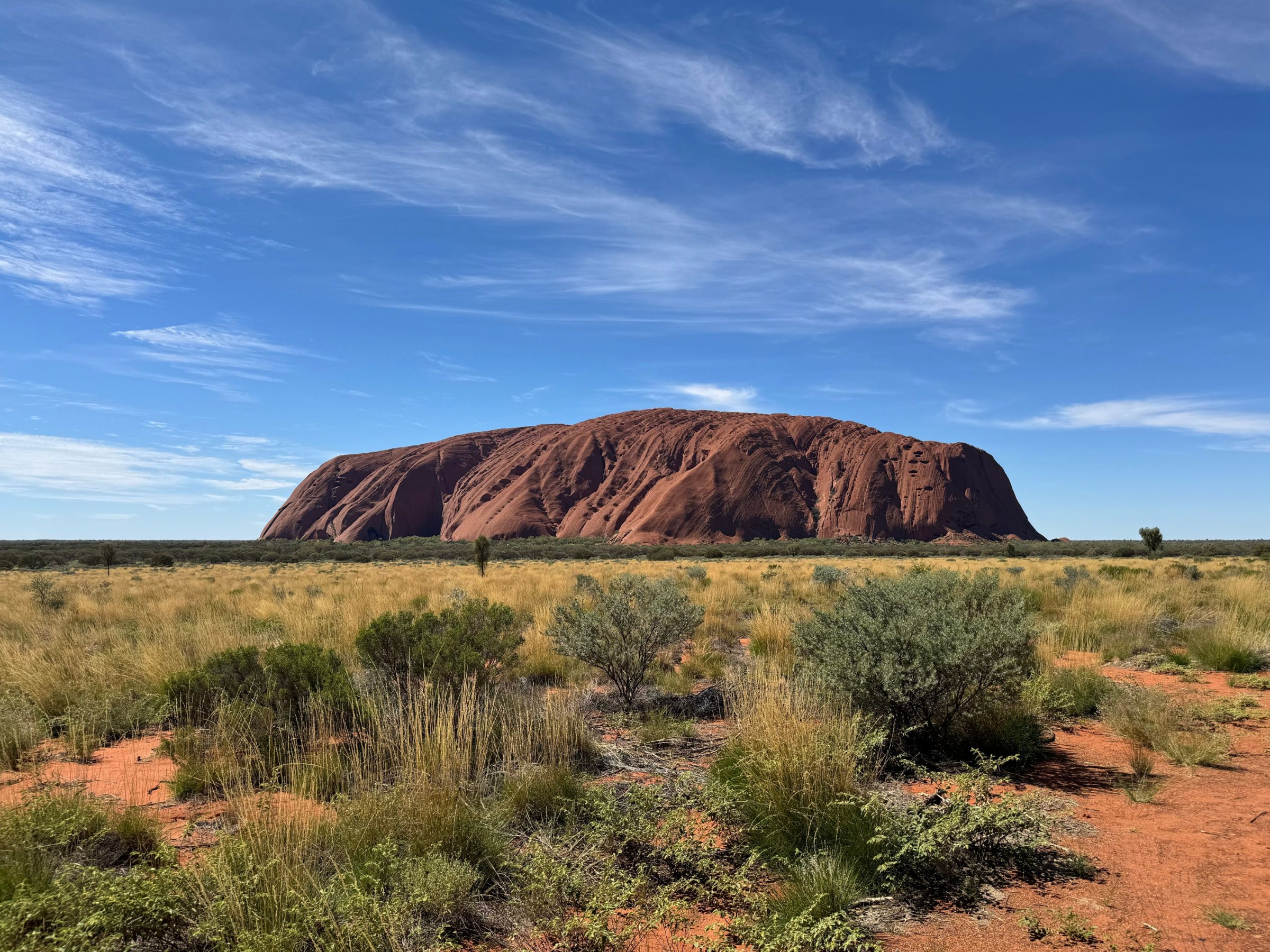 Uluru glowing red above the grasslands of the Red Centre