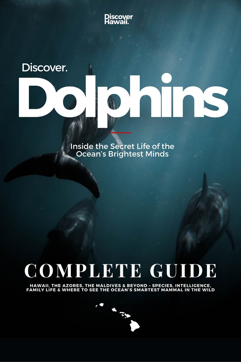 Discover Dolphins, Complete Guide, cover