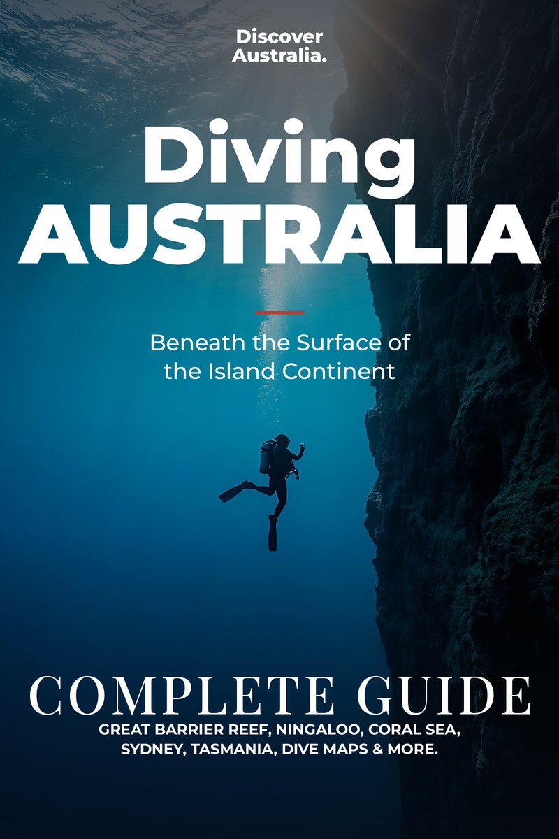 Diving Australia: The Complete Guide, book cover coming soon