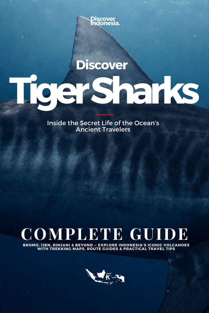 Discover Tiger Sharks, Complete Guide, cover